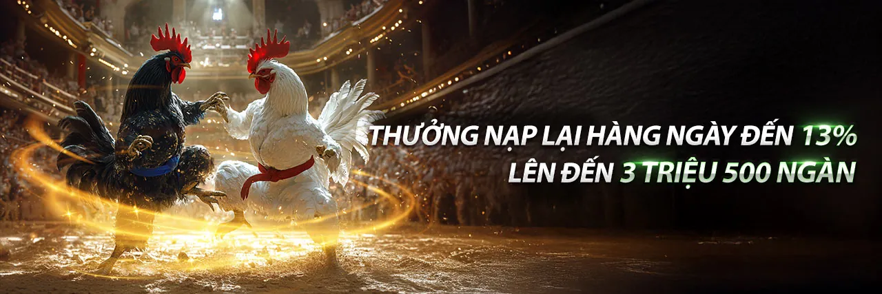 Hình ảnh đại diện Điều khoản Dịch vụ của okking99 nhà cái